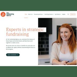 The Fundraising Agency
